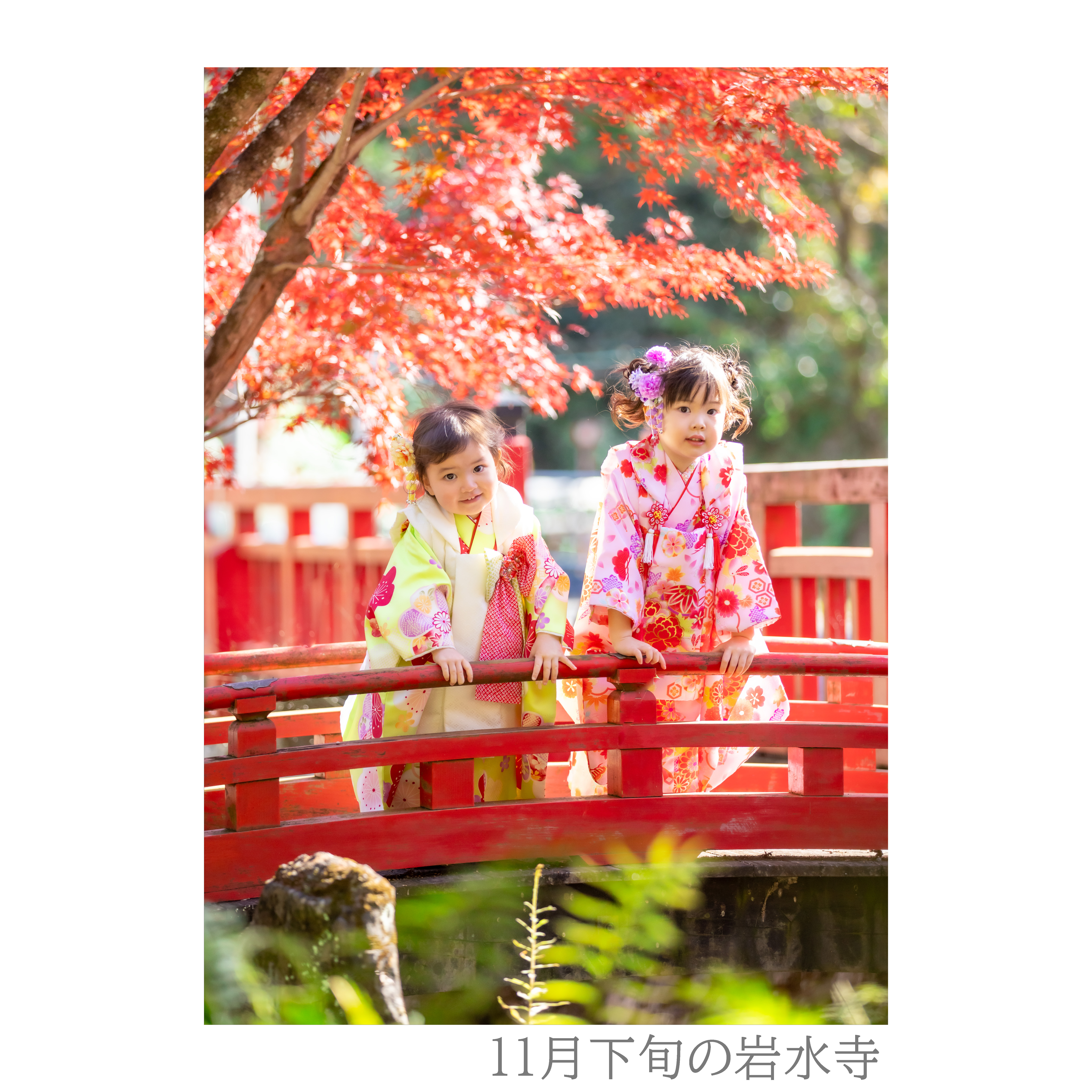 753メニュー | suzuki-photo